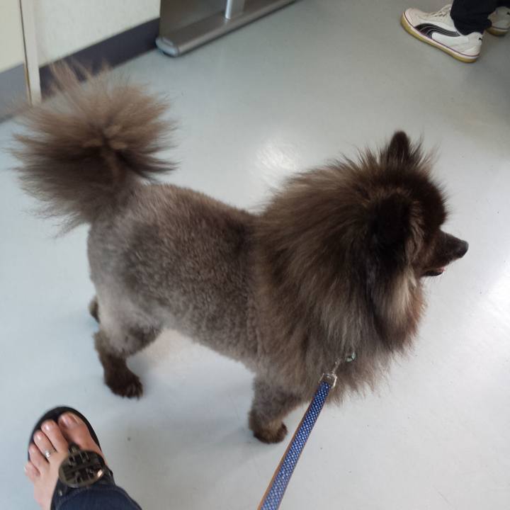 16ce7252 2834 4e09 ab07 e4cf1723f66d 1516822595502