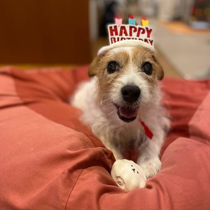 16ce8067 bbc8 4419 9134 a7d6e84bb52d 1718110370494