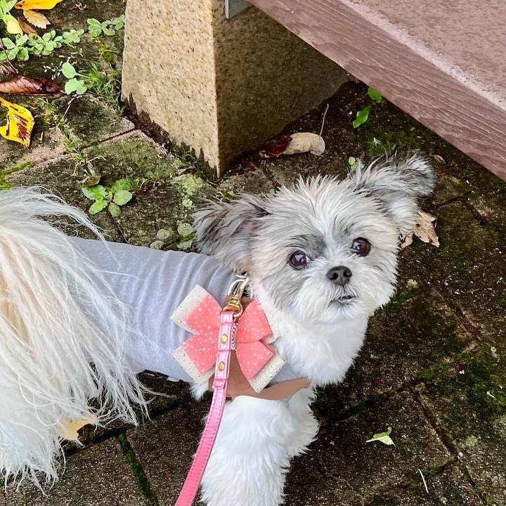 16ce878f 7c0e 4abb a5a4 4091ec466399 1662097978337