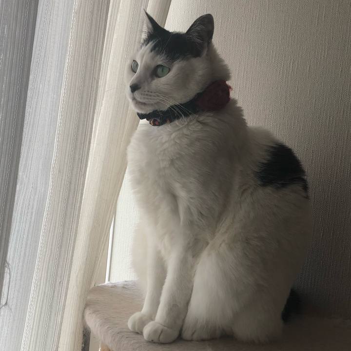 16ce8f08 821f 4d03 9216 eda7ec3c5114 1552346819600