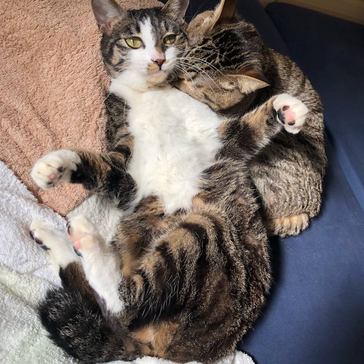 16cea00c 94f1 4ff1 826c 78dbd8e009ae 1518712520085