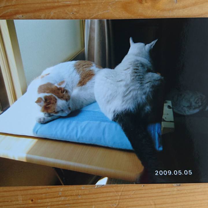 16cedc37 7da3 4e2c b397 79a7aea0194b 1514696609437