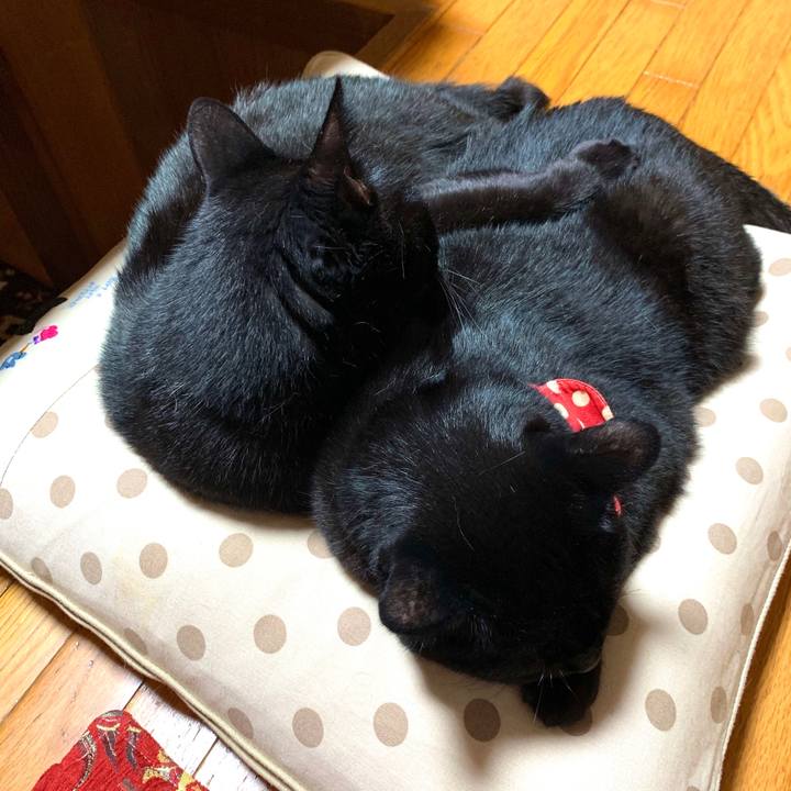 16cee131 b0ea 4699 862d c35fdac895ed 1595770093662