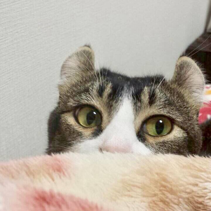 16cee19b d4d0 4361 9e5f b6e9ae9f26ef 1519780174215