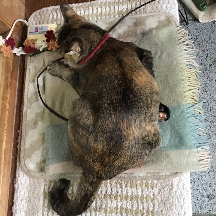 16ceef73 0e7e 406f b44c eae63118de86 1611644584426