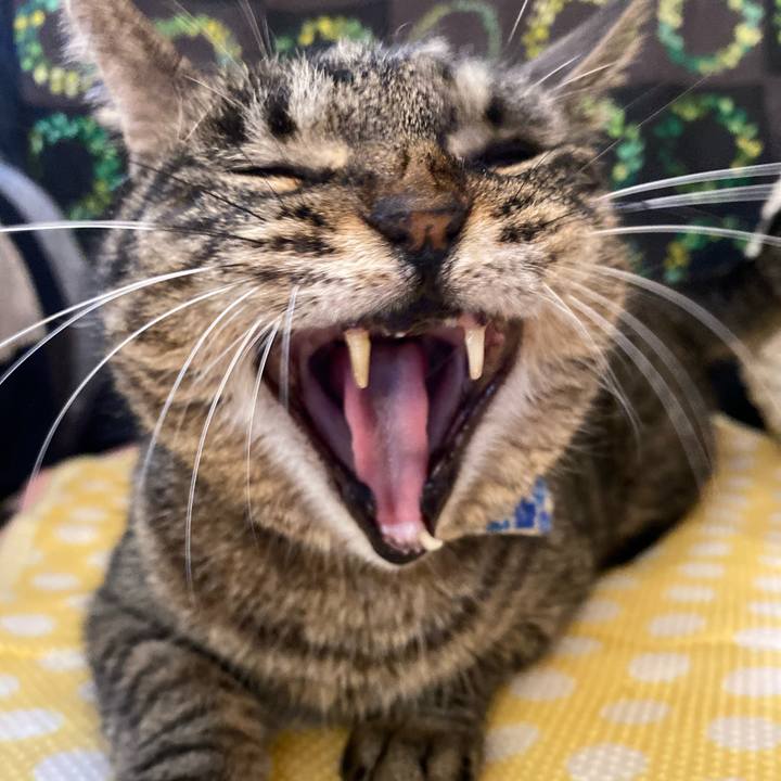 16cf01a8 c2e3 4038 bc1a fdfc574d57e3 1625563429134