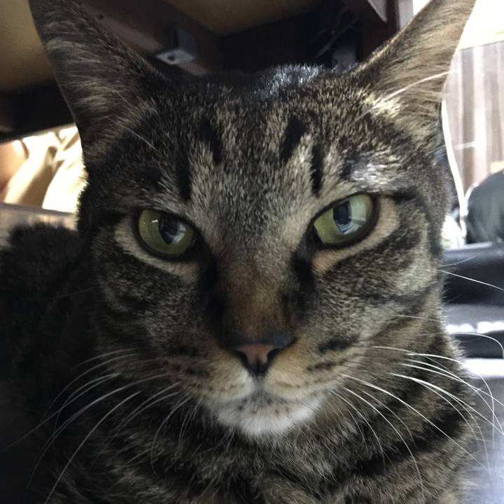 16cf1630 b2ef 4730 94ac 9f44bed00d8f 1538651847423