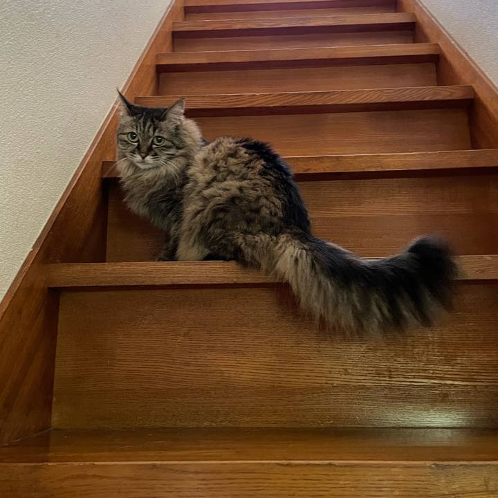 16cf1f69 d855 482e 8d45 0f14c57bafdc 1750569446385