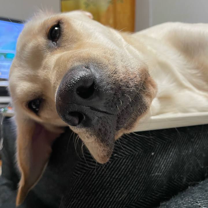 16cf21be 2cf5 485b 9c75 6bc42fbb8ef2 1641096276369