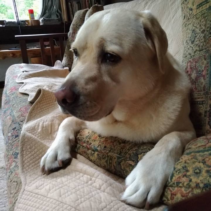 16cf5ac1 73d6 40c2 a2da d70ad7204eb8 1565769031847