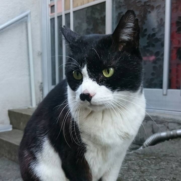 16cfa692 11da 4791 8533 9f6c48b2379f 1514008169332