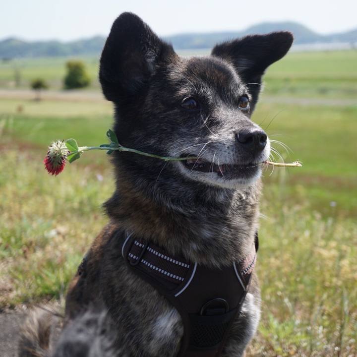 16cfa921 79b1 453b abcc 87b26a29edab 1619366015832