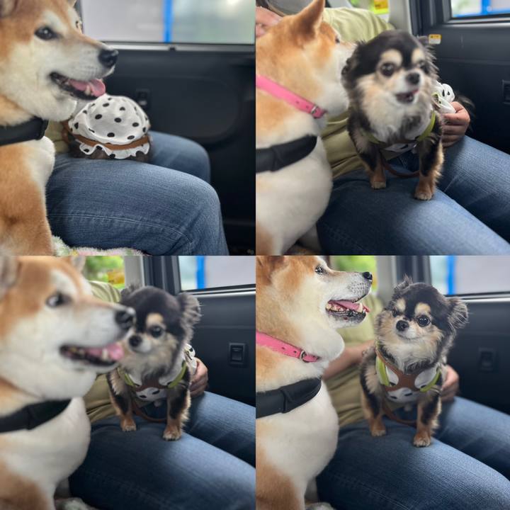 16cfe2b3 4cc4 4299 bf63 92f4d75d2340 1685860872430