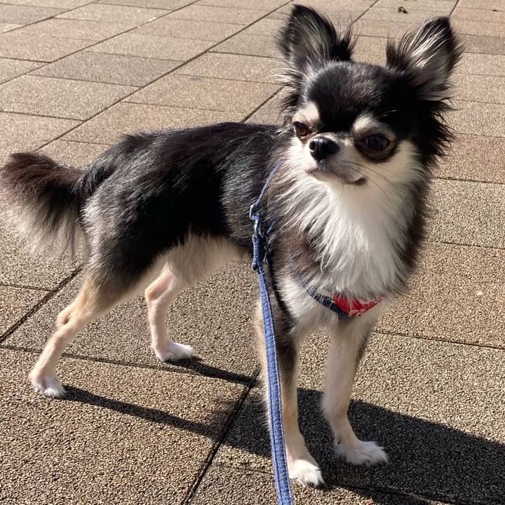 16cfeb39 95a4 4bda ab4f 35c0271a8932 1633148250645