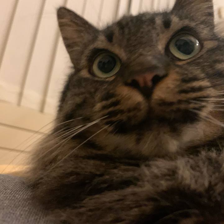 16d01d1e a6c9 4d8d 8e0f 6c3cabfb703b 1731717905116