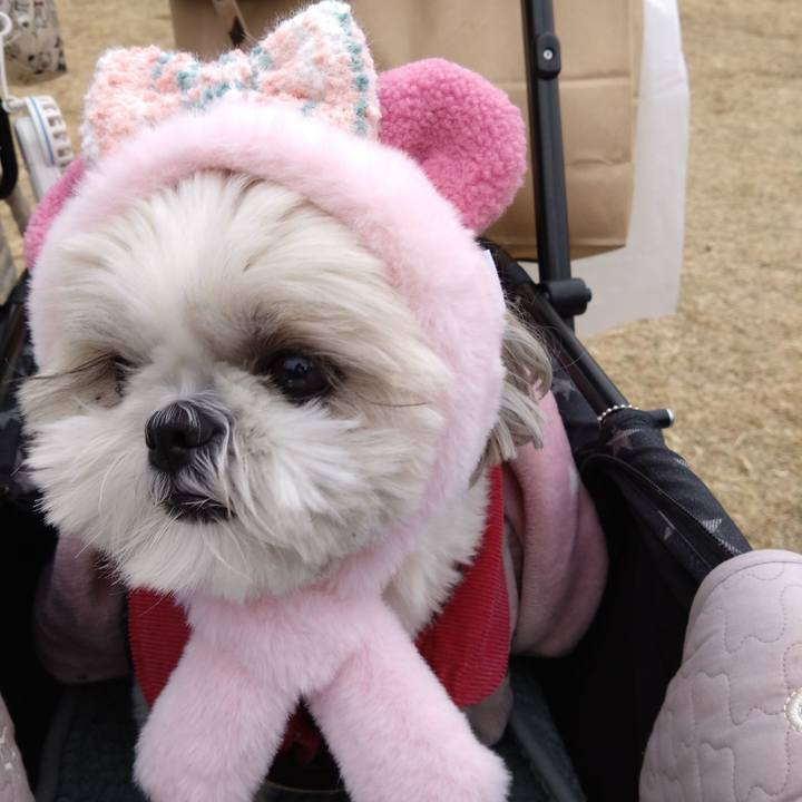 16d02652 038d 4e6c b489 4214b3b5930d 1702197316970