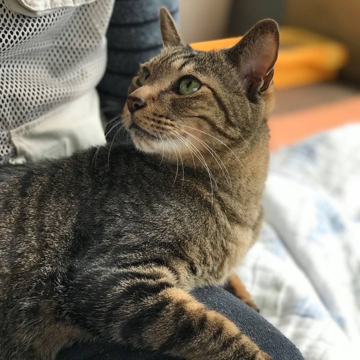 16d03cf5 24c4 4de5 97c7 ae596067cb30 1525741671407