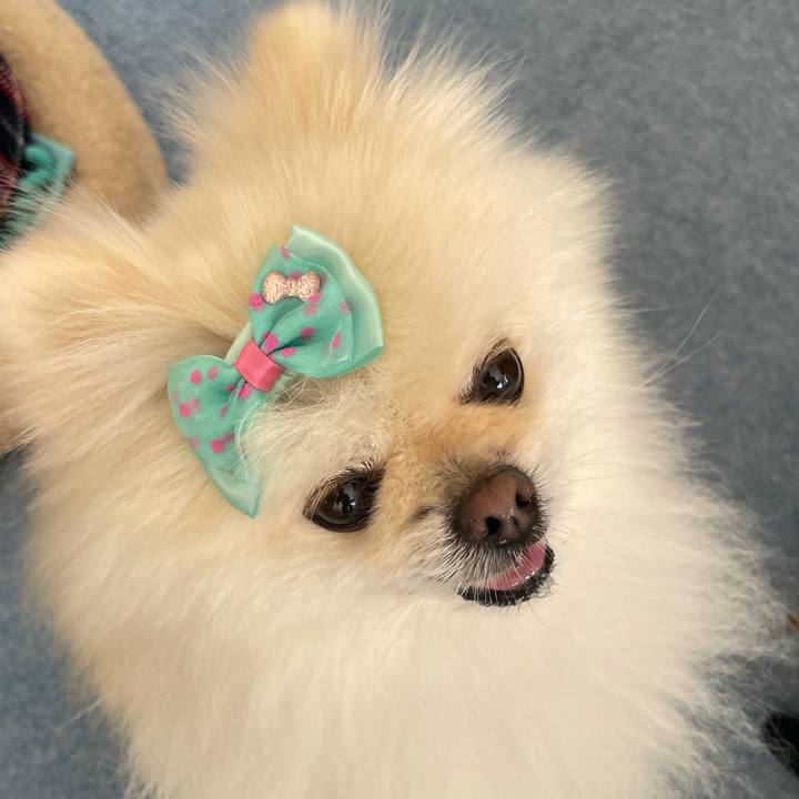 16d05c52 bc3c 43f1 8359 ddc86ae18dc7 1628480276762