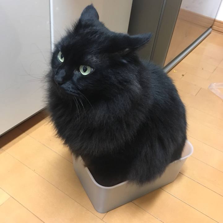 16d070ad 1a12 435a aa07 2074481500d8 1574422360669