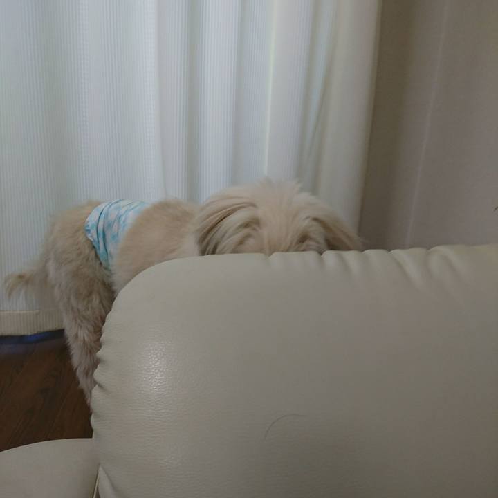 16d08d6e 77d7 44d9 b16d 024cd6d7e175 1596450199844