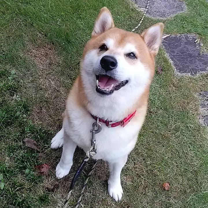 16d10f28 44b6 4d59 a36a 9d41084189c9 1665218148225