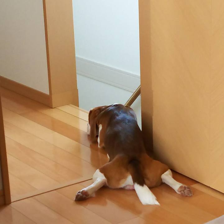 16d143fa 2404 4f28 9e3e 0b0e81156bd2 1524360029060