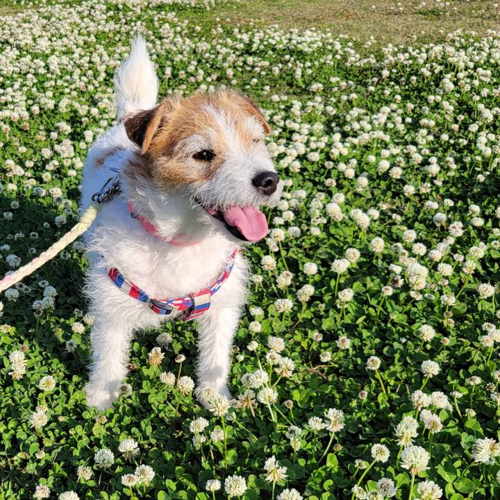 16d14658 97cd 4552 bbb7 7be459a5d10e 1745977732981