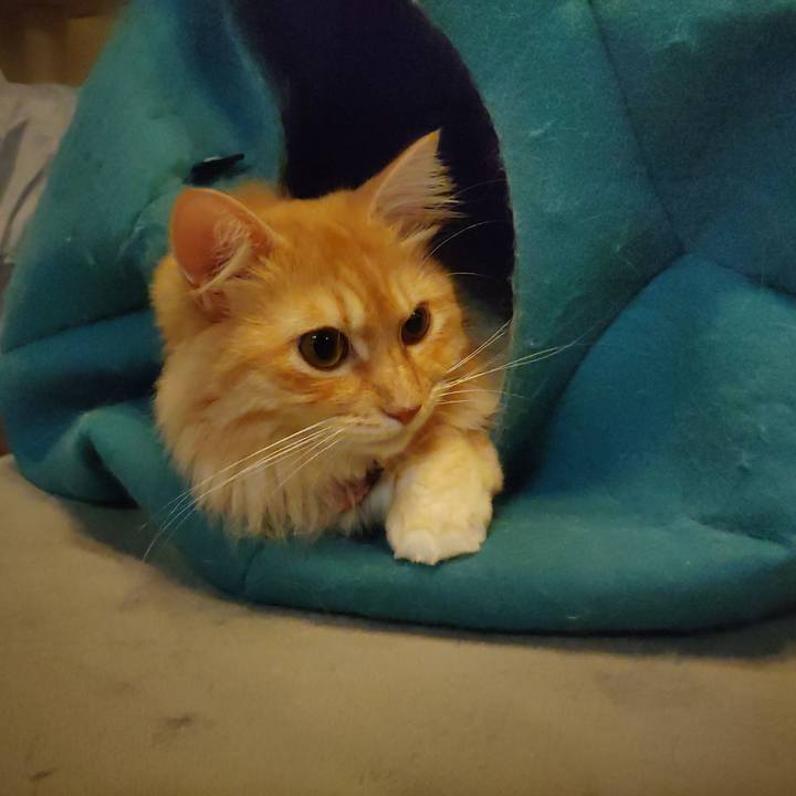 16d14b33 18a5 4ad5 88f5 9997117d08c9 1659094766070