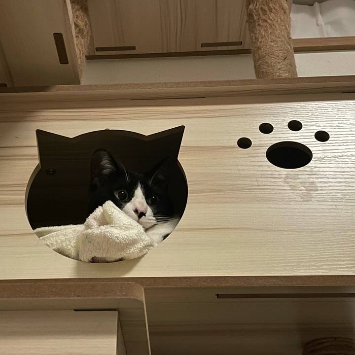 16d18cf0 b38f 4a25 860b c56f0c5bc19c 1710843601052