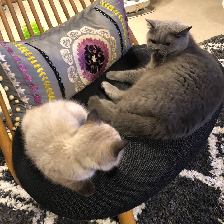 16d198a8 d5a6 4f45 a0e5 d314c32b85e5 1587515338019