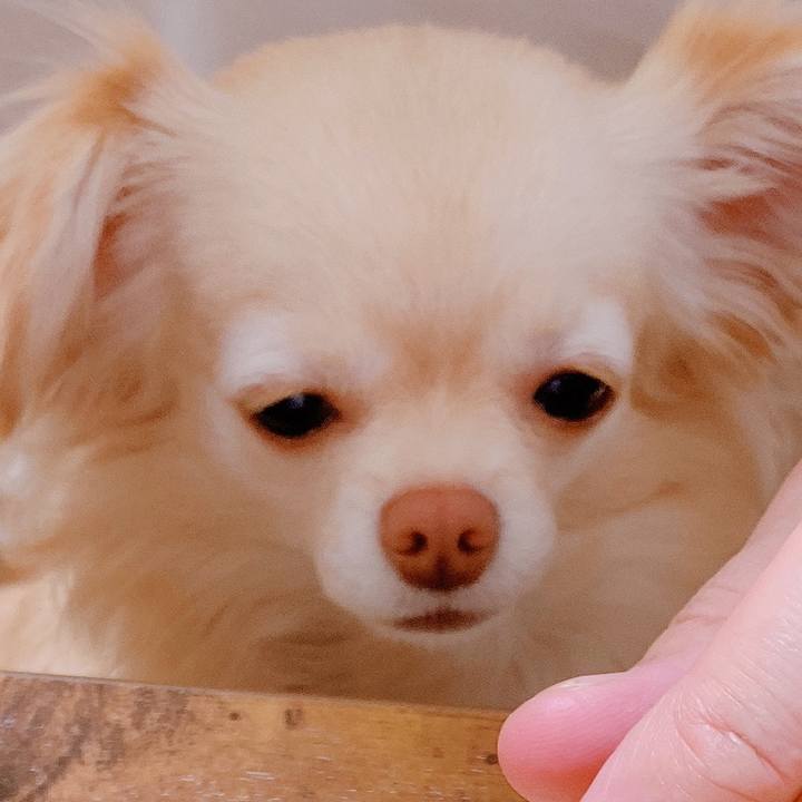 16d1b141 11ee 4367 8b48 185cc42c4f65 1647473965515