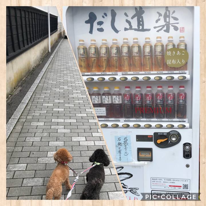 16d1ee68 d71f 4951 9276 50b1fd4cc408 1593672726685