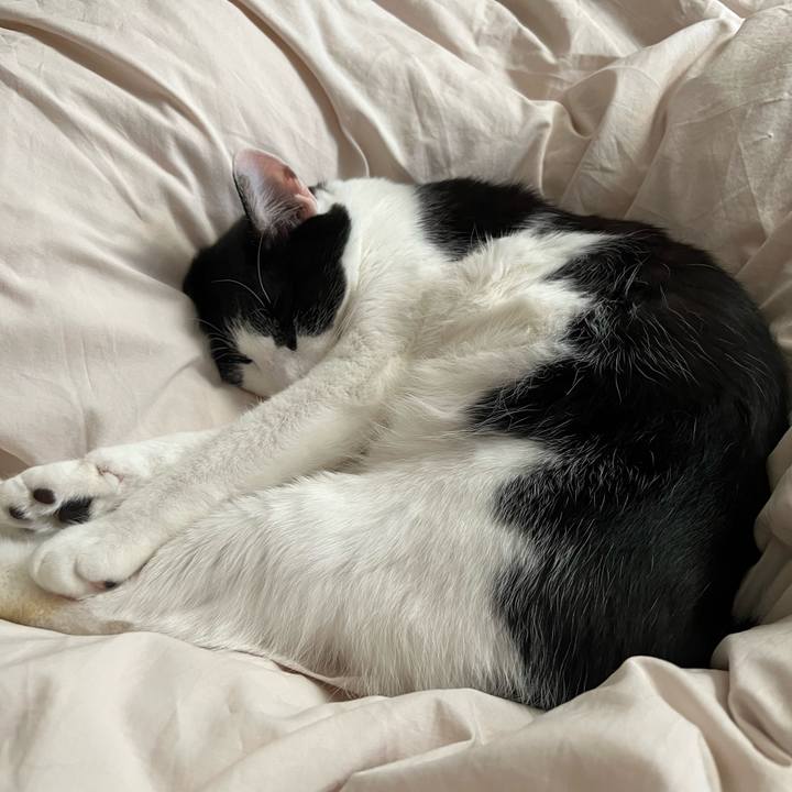 16d1f419 343e 45d7 9a73 9410f37c4346 1700384564378