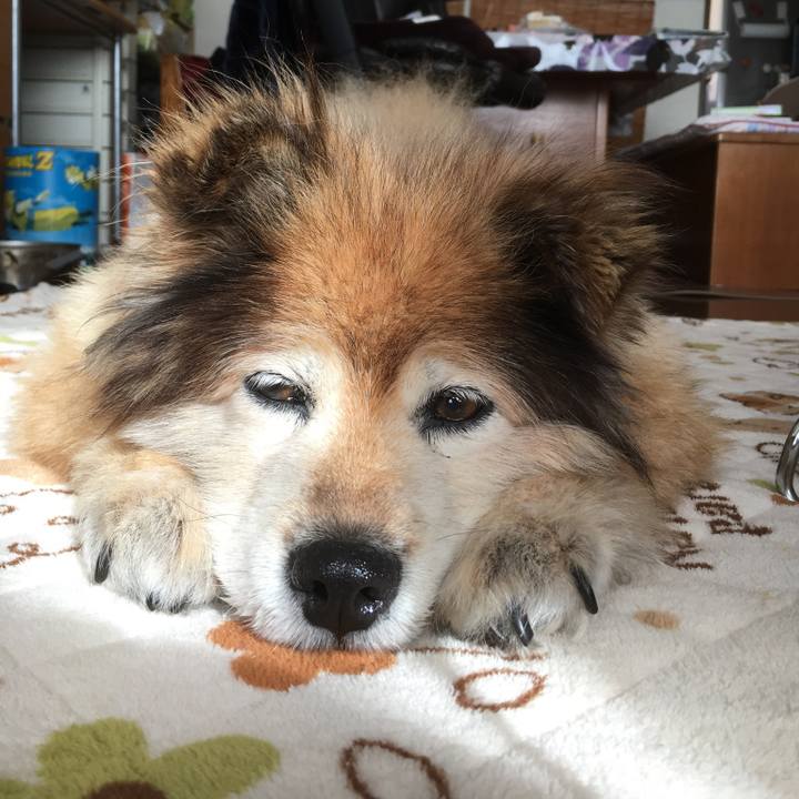 16d217fc af50 4ba3 a304 b3d1da4fa503 1579307415035