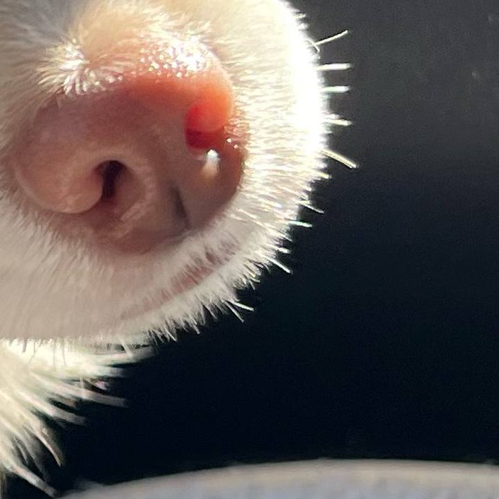 16d235ad 94c1 4c3f 88af 1919bbb19640 1726310993357