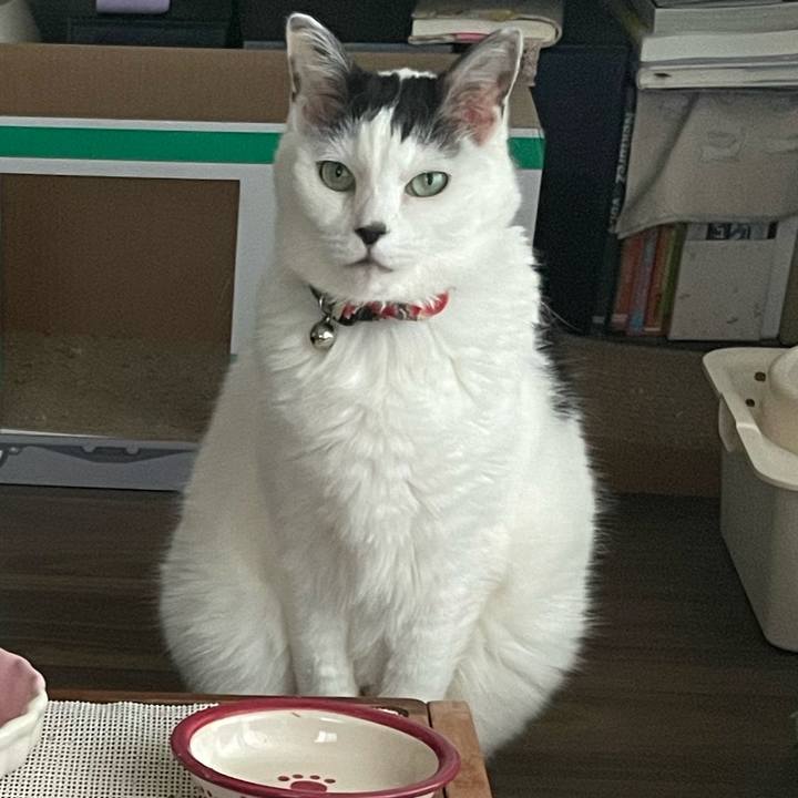 16d25b8c 2b0b 4608 b9ca 2a383aa716c4 1745139913103