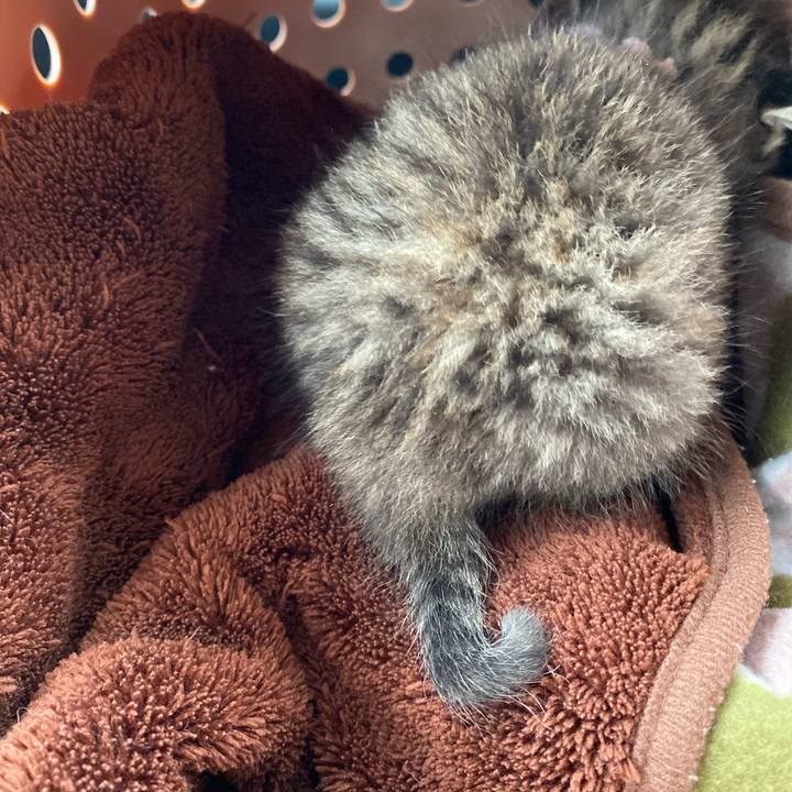 16d2716a 2afb 4c56 b59f cea35454d151 1636183052054