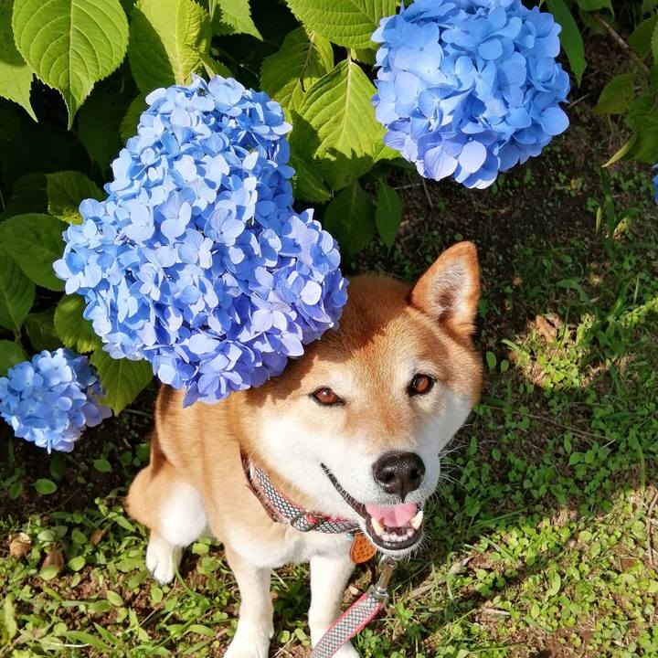 16d2bfd7 cb94 4309 b0fd 7d7569a85141 1655108949169