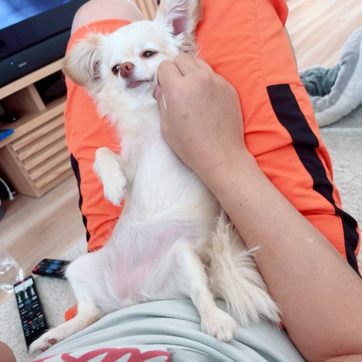 16d2da3e 1c70 43b0 b58a 162604ae3fc9 1715434771571