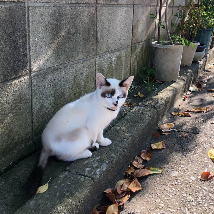 16d2df22 eddc 4755 b3bf 98430987ce96 1599978206278