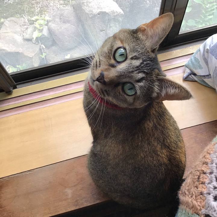 16d32d31 a871 4953 8acb 8304b42ba10a 1599969462082