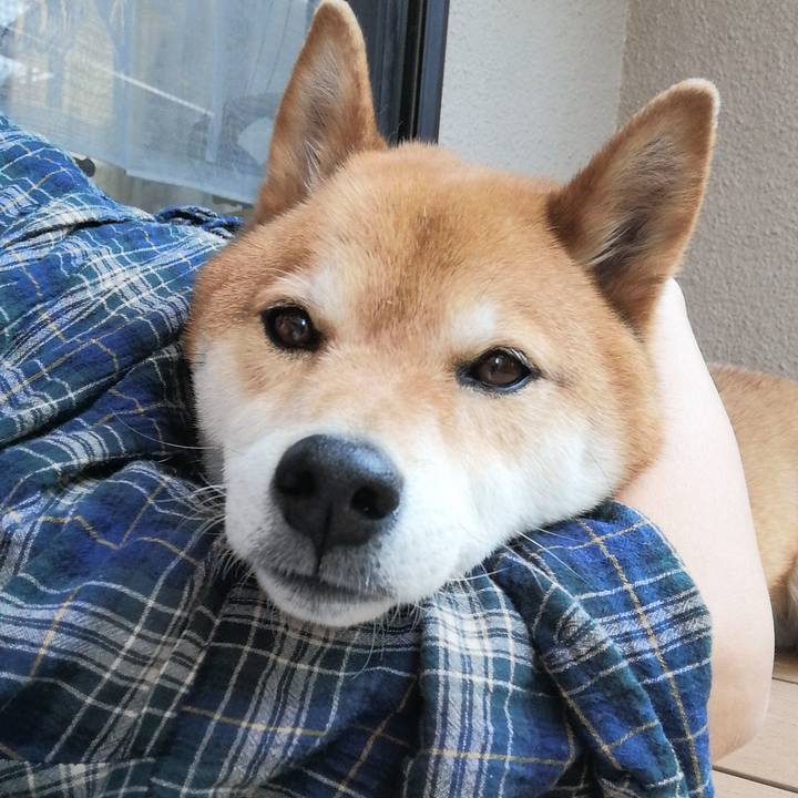 16d35a1f 8e71 4512 9f6b c75021229f67 1588258369827