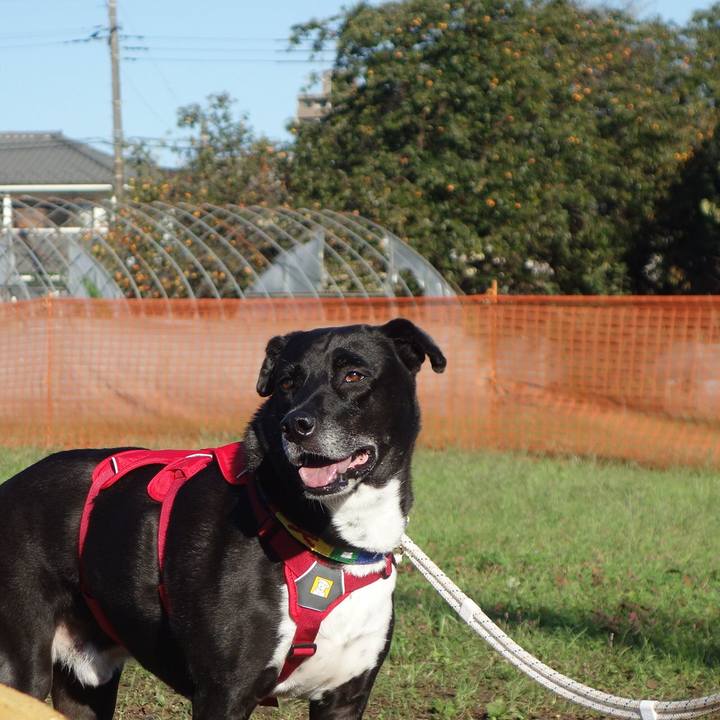 16d376ee 8f24 4344 83ba 20926b2655f0 1666229153528