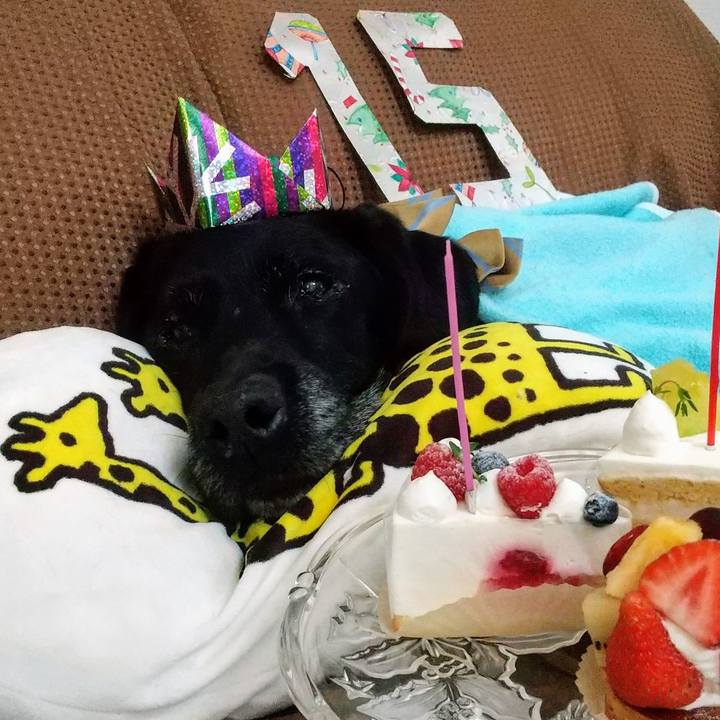 16d3b36b afc5 4f91 a5e8 4430c1b6f9ff 1718435620043