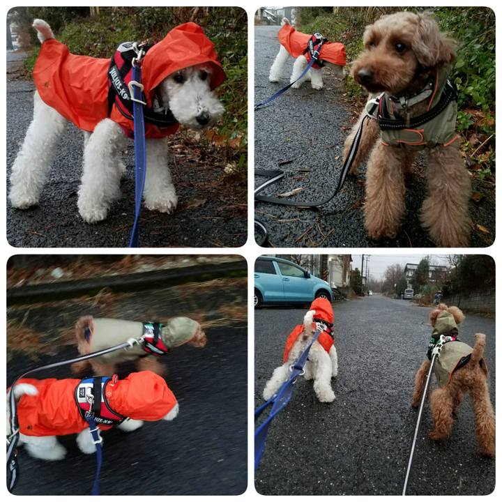 16d3cd48 7cde 40b1 bdcd 112eba5f4ff0 1514416179784