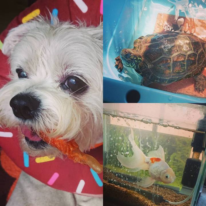 16d3d6b4 1e40 426b bbaf 28f12180c385 1617337164065