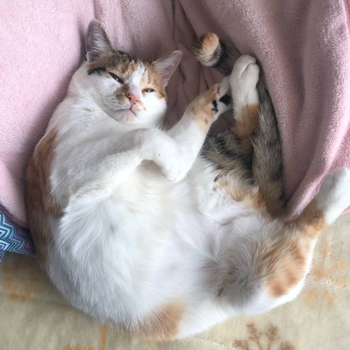 16d430e2 f37d 456e 805d ca99bba39065 1587271698070