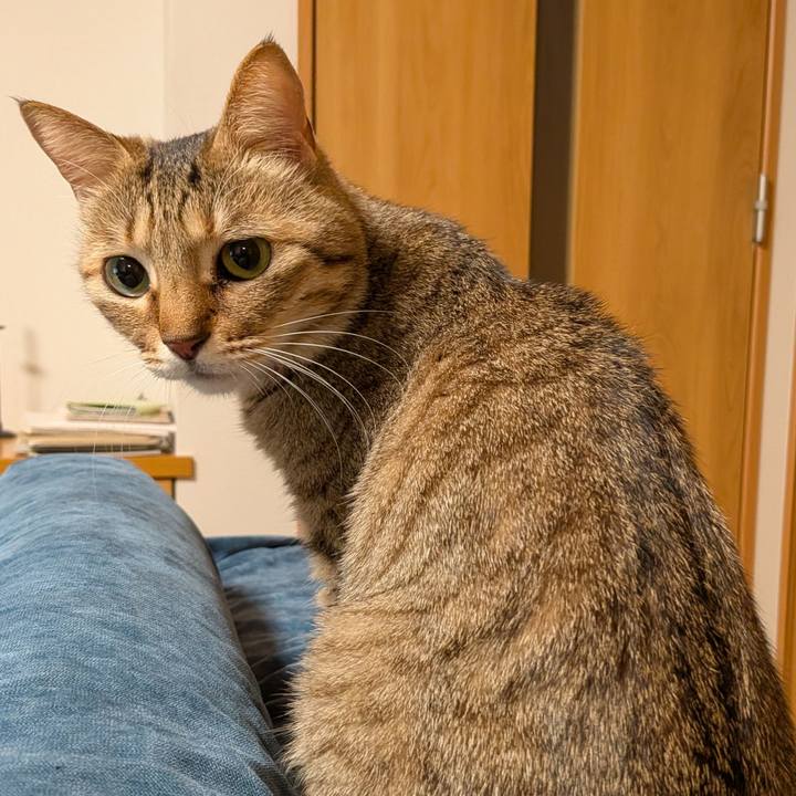 16d44845 ec99 419c aa21 d21536b25180 1767821092757