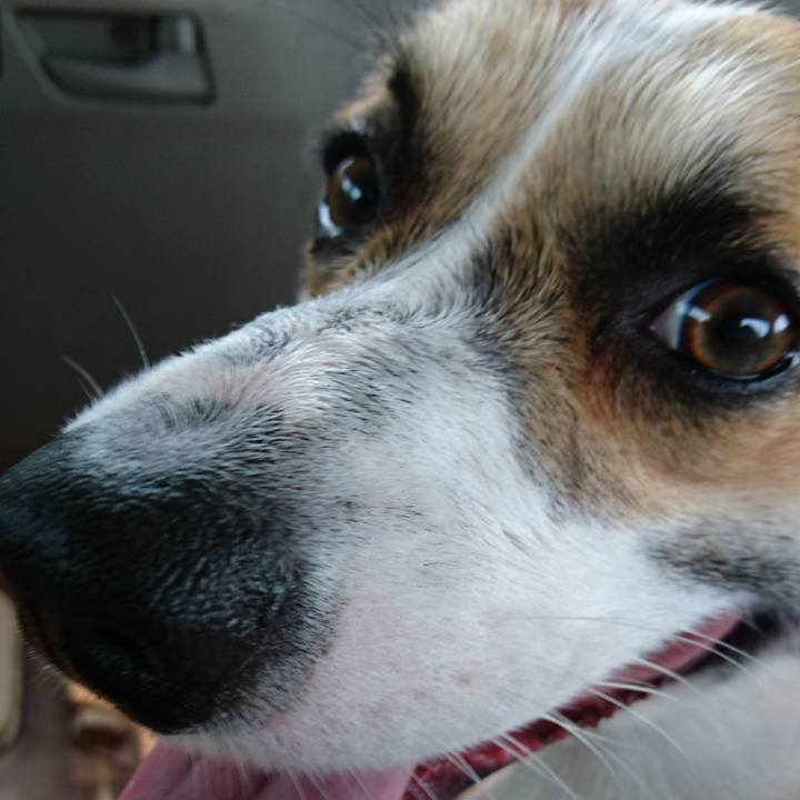 16d46e21 fb5b 4367 b8c3 4d3201715b46 1599205378233