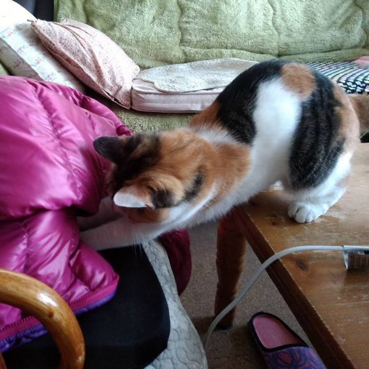 16d476d1 cc02 4a68 a308 32b6cea5c096 1639394850087